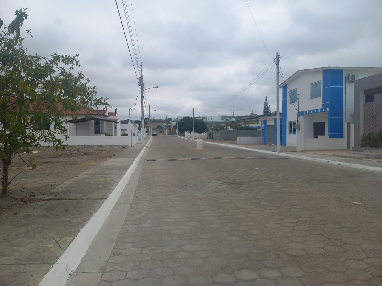 WhatsApp Image 2024-11-07 at 4.06.06 PM