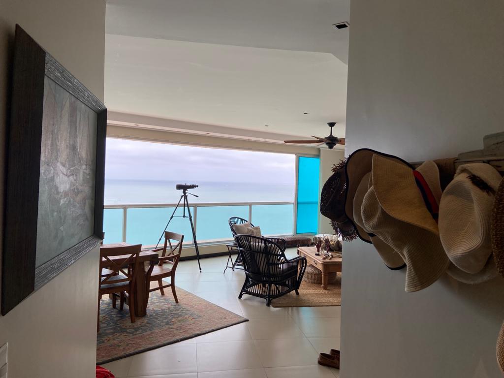 WhatsApp Image 2024-11-19 at 8.50.11 AM