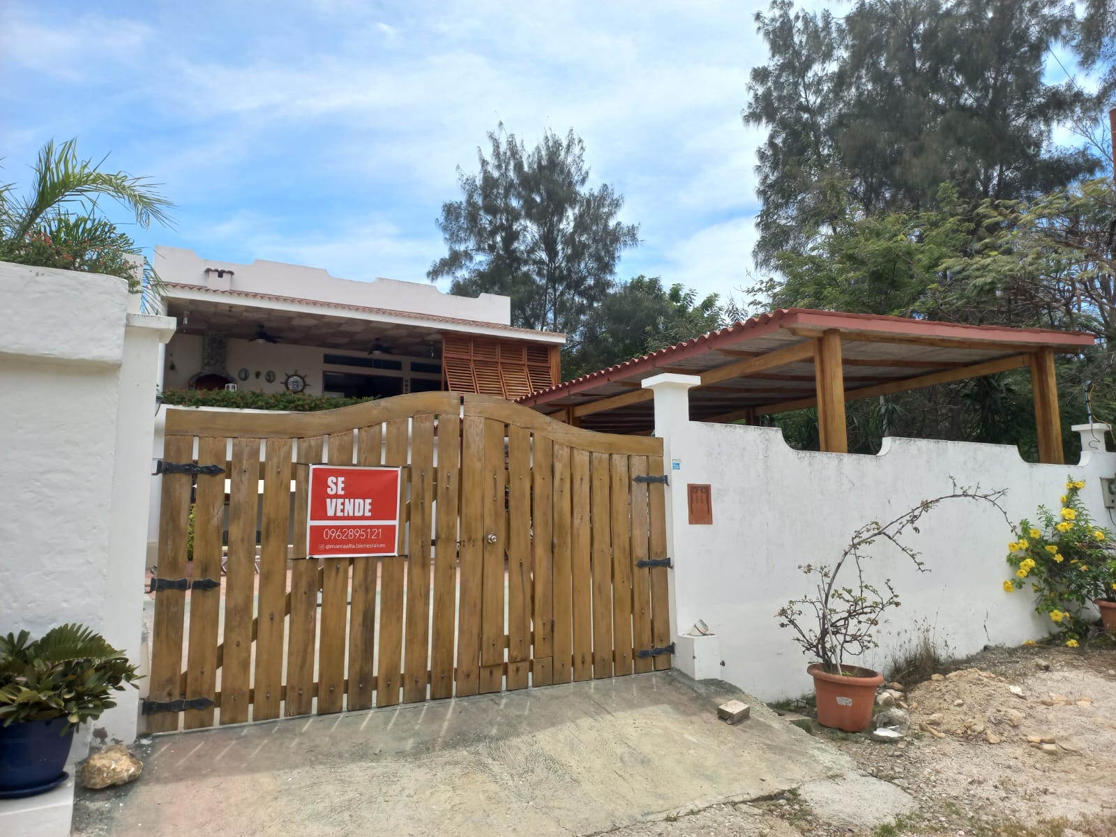 WhatsApp Image 2024-01-29 at 10.48.07 AM