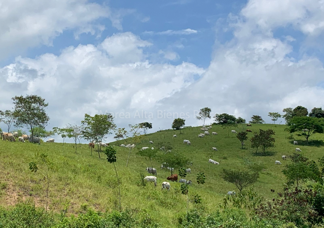 WhatsApp Image 2024-07-23 at 11.29.51 AM-2